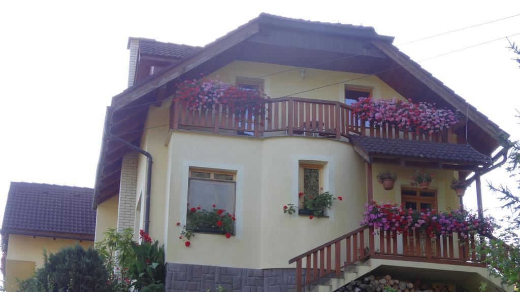 Apartman U Sarky Valaska Bagian luar foto